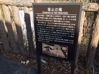 白糸 (10).JPG